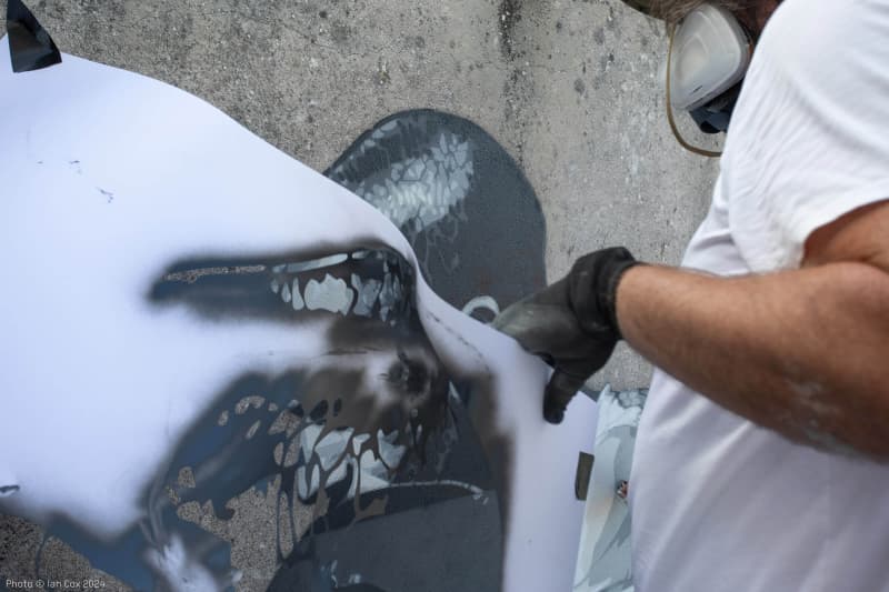 Copia di 3024_2I8A4821_CVTA2024_Artist_Anders_Gjennestad_Strøk_Photo_©_Ian_Cox_2024 copy