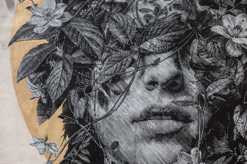 Copia di 3024_2I8A5477_CVTA2024_Artist_Snik_Photo_©_Ian_Cox_2024 copy