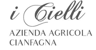 Cvtà Street Fest Partner