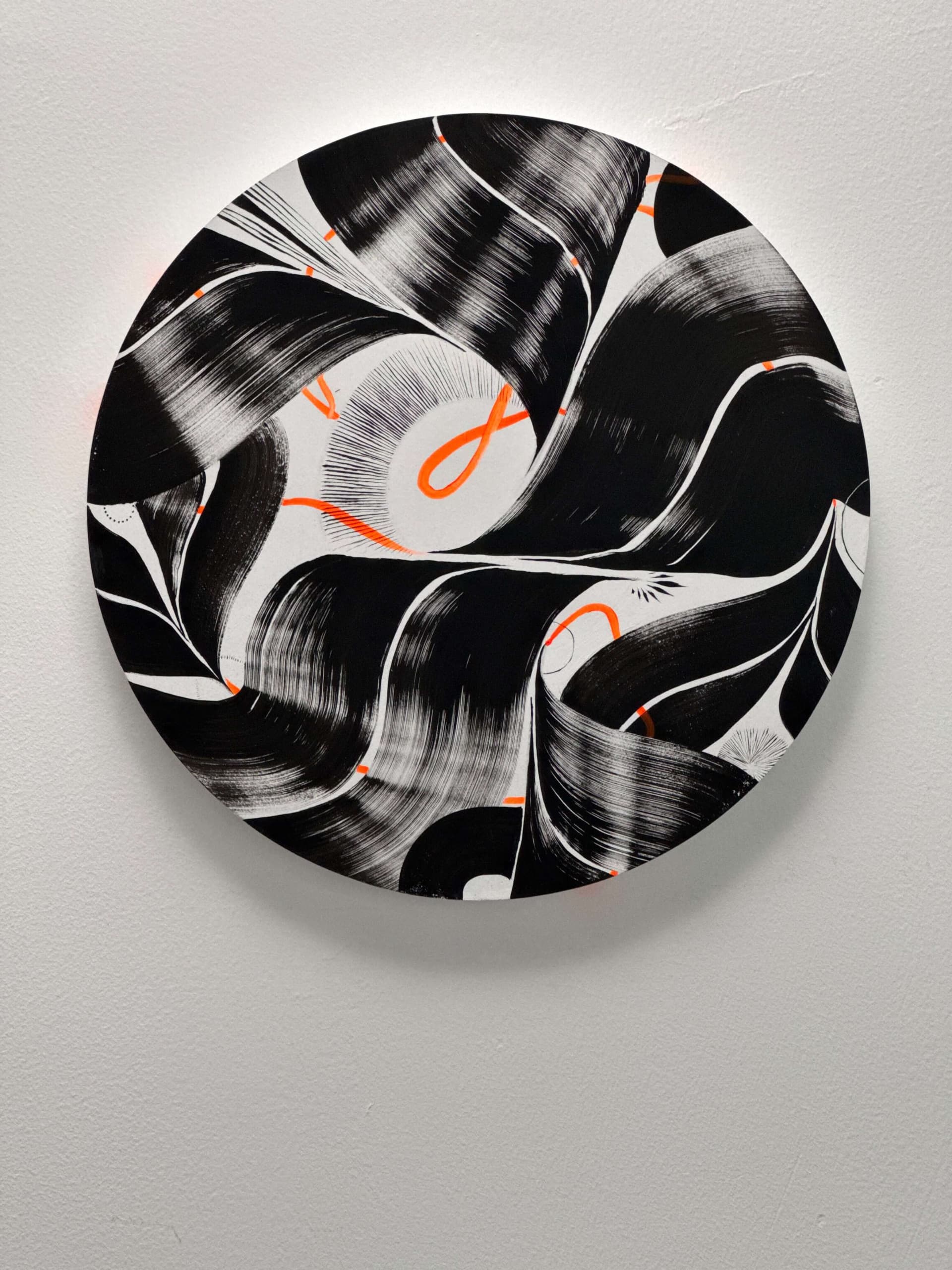 Lucy McLauchlan-MurmurationsAndContinuations